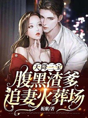 天降三宝:腹黑渣爹追妻火葬场